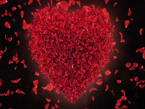 Red Rose Falling Flower Petals In Lovely Heart Shape Background Loop 4k Stock Footage 71490053