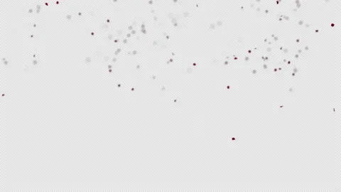 Red Rose Falling Stock Footage 171615608