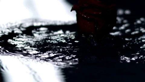 Red Rose Falling In Water Stock Footage 76432590