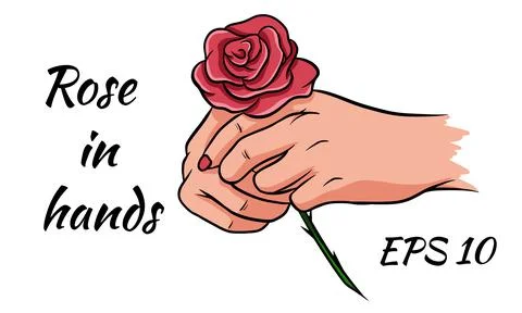 Red rose in female hands. Romantic.Isolated drawing on a white background. Stock Illustration