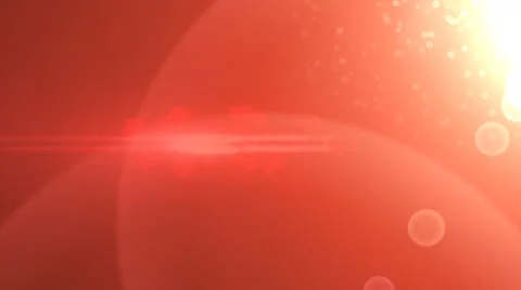 Red Rose Flash Transition Stock Footage 38549070