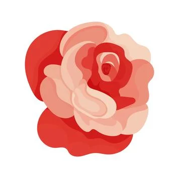 Red rose, flat vector illustration, elegant floral element isolated on whit.. Stock Illustration