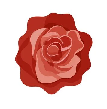 Red rose, flat vector illustration, elegant floral element isolated on whit.. Stock Illustration