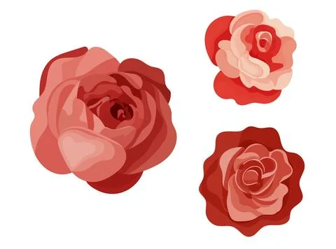 Red rose, flat vector illustration, elegant floral element isolated on whit.. Stock Illustration