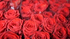 Close up (macro) of a fully bloomed red rose wrapped in brown paper as part  of a bouquet. Head of the rose is at eye level, facing camera Stock Photo -  Alamy