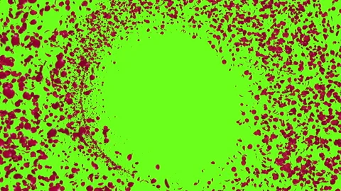 Red Rose Flow on Green Screen . Stock Footage 301282343