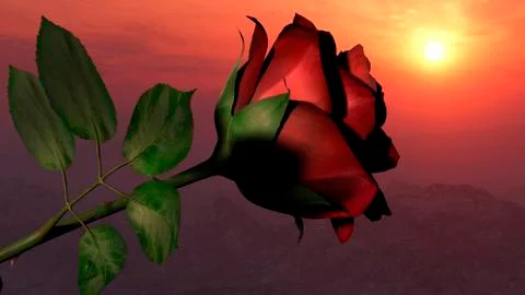 Red Rose Flower on Dramatic, Romantic Sunset Sky Stock Illustration