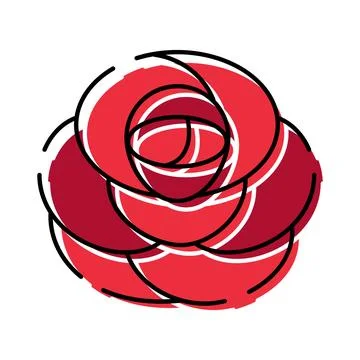 Red rose flower drawing vector illustration design Illustrazione stock