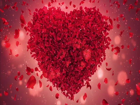 Red Rose Flower Falling Petals Love Heart Valentine Wedding Background Loop 4k Stock Footage 71489665