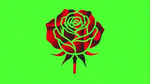 Red Rose Flower Green Screen Liquid Texture Motion Background Loop Stock Footage 340397689