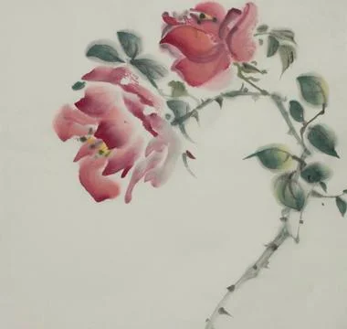 Red rose flower Stock Illustration