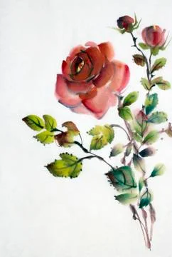 Red rose flower Stock Illustration