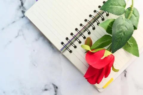 Red rose flower on notepad on table Stock Photos