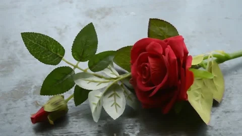 Red rose flower on rustic floor. Nature still life love romantic background t Stock Footage 130429842