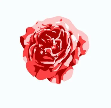 Red rose flower vector Stock Illustration