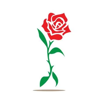 Red rose flower vector Stock Illustration