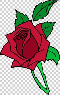 Red rose flower without background, isolated element, decor Stock Illustration