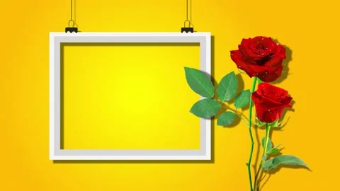 Red rose flowers with white frame animation footage,glowing and shiny stars Stock Footage 135056233