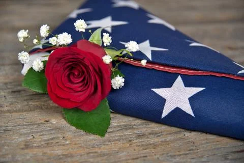 Red rose in folded flag Stock Photos
