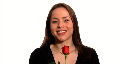 Red rose Stock Footage 22665604