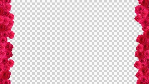 Red rose frame  Stock Illustration