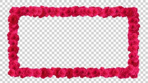 Red rose frame Stock Illustration