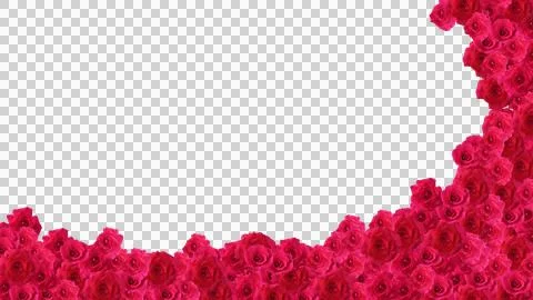 Red rose frame Stock Illustration