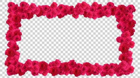 Red rose frame Stock Illustration