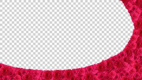 Red rose frame wavy Stock Illustration