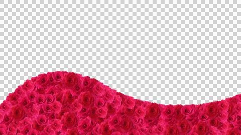 Red rose frame wavy Illustrazione stock