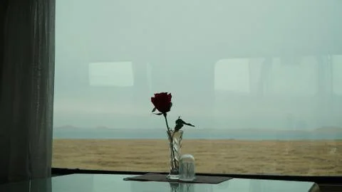 Red rose in front of the window on the train Stock Photos
