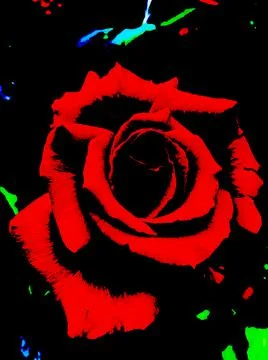 RED ROSE GRAPHIC Stock Illustration
