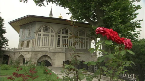 Red rose in Harem garden Topkapı palace Stock Footage 42951426