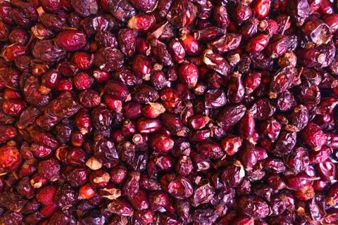 Red rose hip as a texture Stock Photos