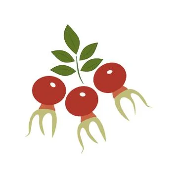 Red rose hips with a green leaf. Stock Illustration