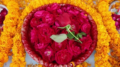 Red rose holy offerings by devotee at monastery at outdoor Stock Footage 313774913