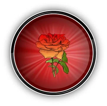 Red rose Illustrazione stock