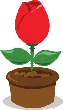 Red rose Illustrazione stock