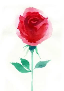 Red rose Stock Illustration
