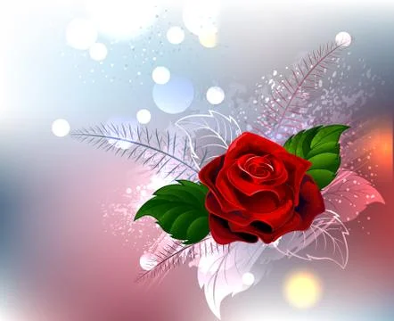 Red Rose Stock Illustration