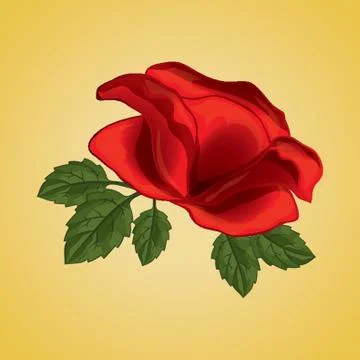 Red Rose Stock-Illustration