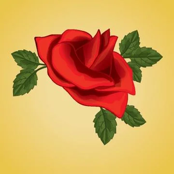 Red Rose Illustrazione stock