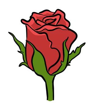 Red rose Stock Illustration