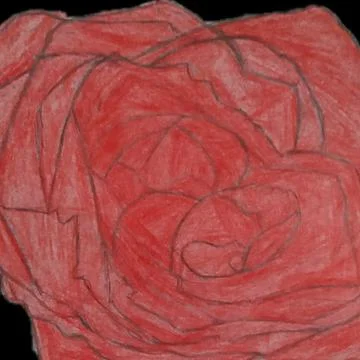 Red rose Stock Illustration