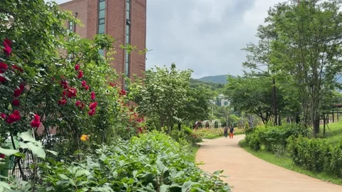 Red Rose-Lined Park Path with Distant People Walking in Seoul Stock Footage 338293644