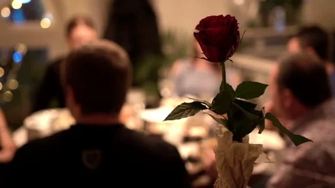 Red rose on long stem in bottle on people over evening communication background Stock-Footage 83335312