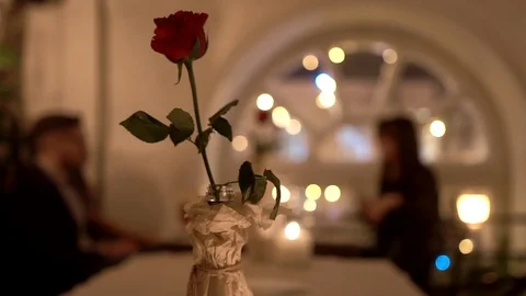 Red rose on long stem in bottle on people over evening communication background Stock Footage 106237872