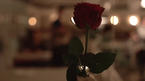 Red rose on long stem in bottle on people over evening communication background Stockbeeldmateriaal 106237986