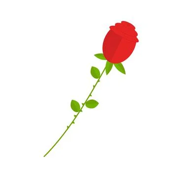 Red rose on long stem for use in web design Stock Illustration