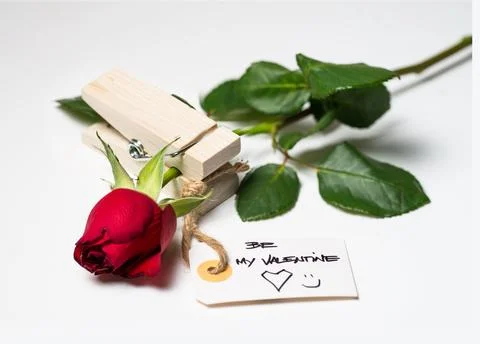 Red rose with love note. 库存照片